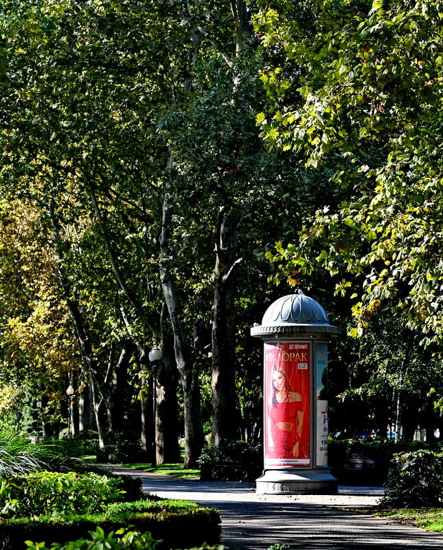 Афиша... - Николай Саржанов