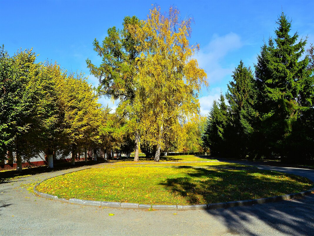 Чебоксары. Больничный сквер осенью. - Пётр Чернега