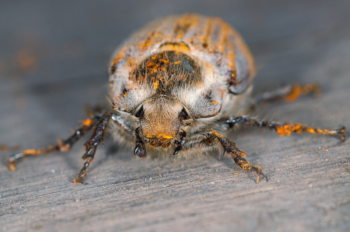 Гость - Владимир Иванович