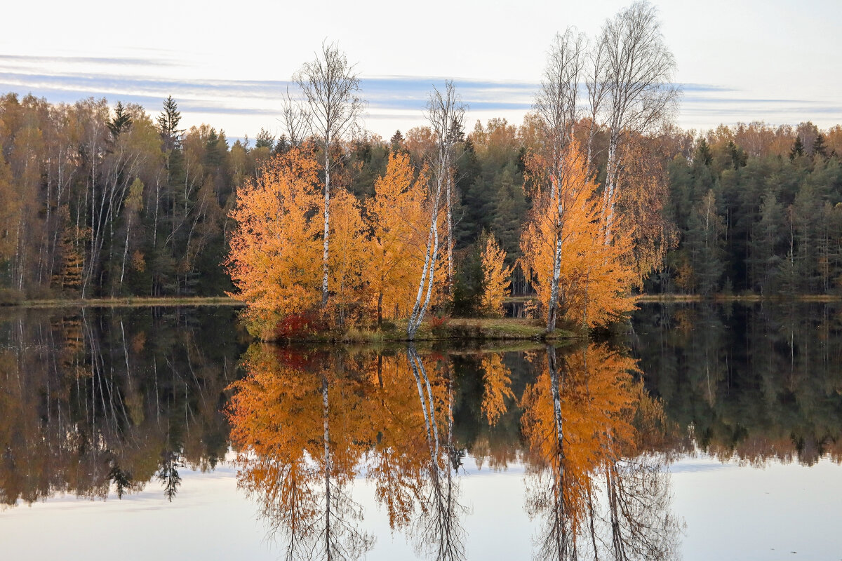 Осиновая Роща - skijumper Иванов