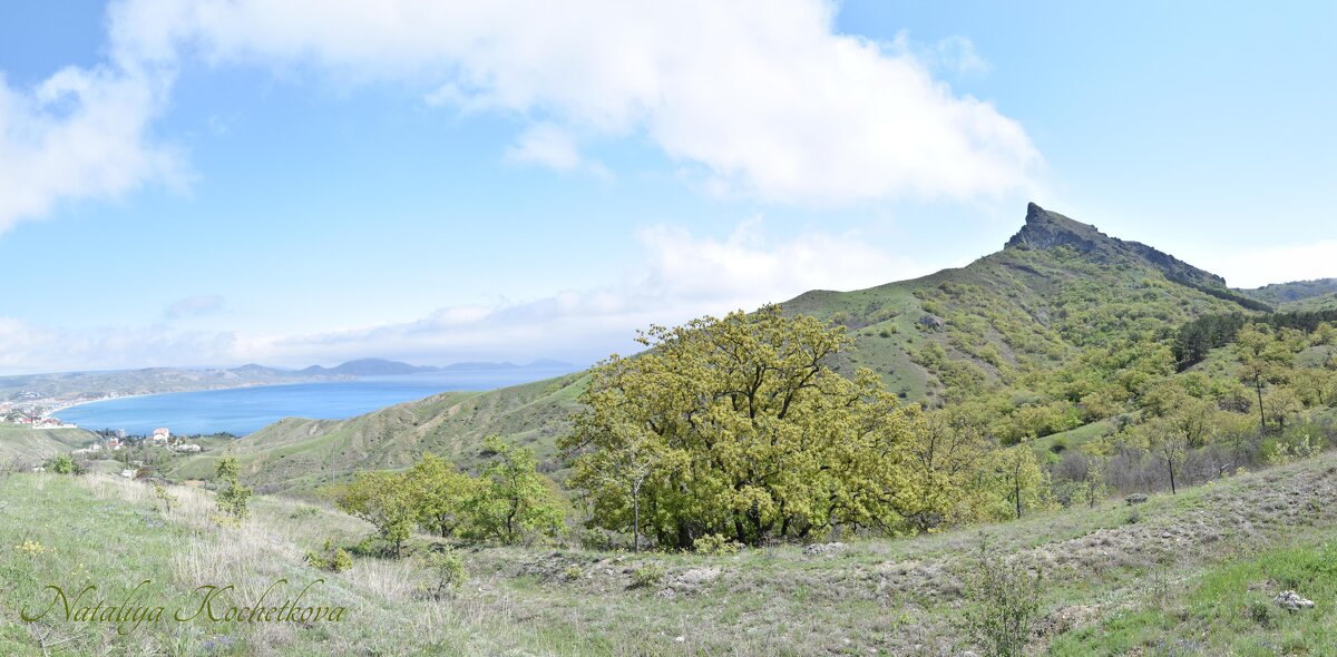 Природа Крыма - Amazing Cosmea