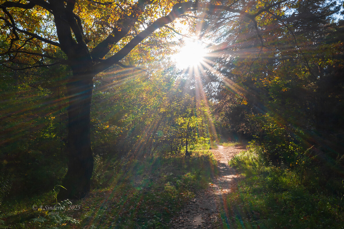 Осеннее солнце - Александр Синдерёв