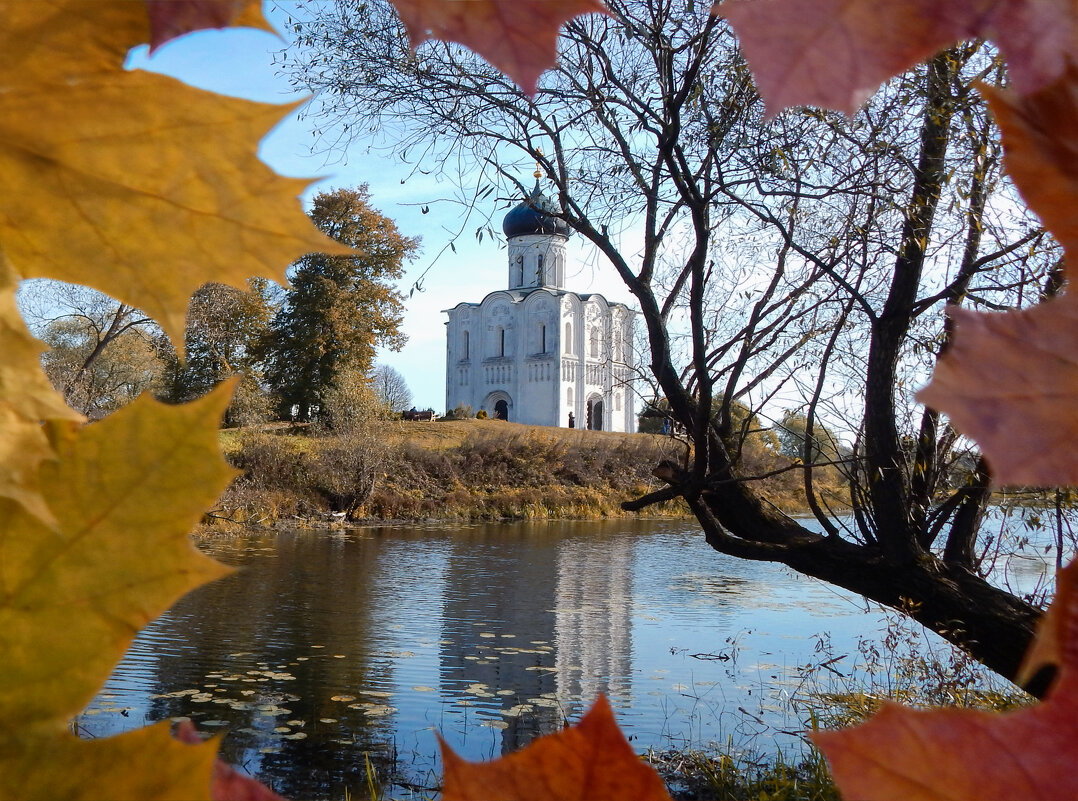 Золотая осень у храма Покрова - Александр Ковальчук