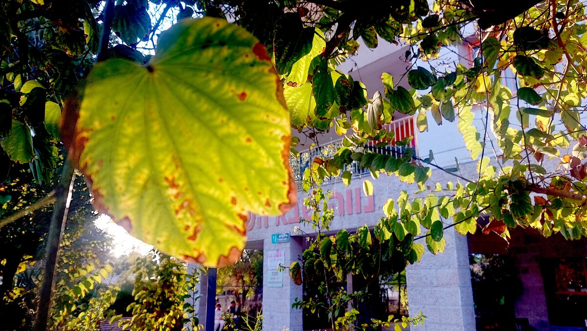 13  ОПЕН (487) - OPEN WAYS ALL