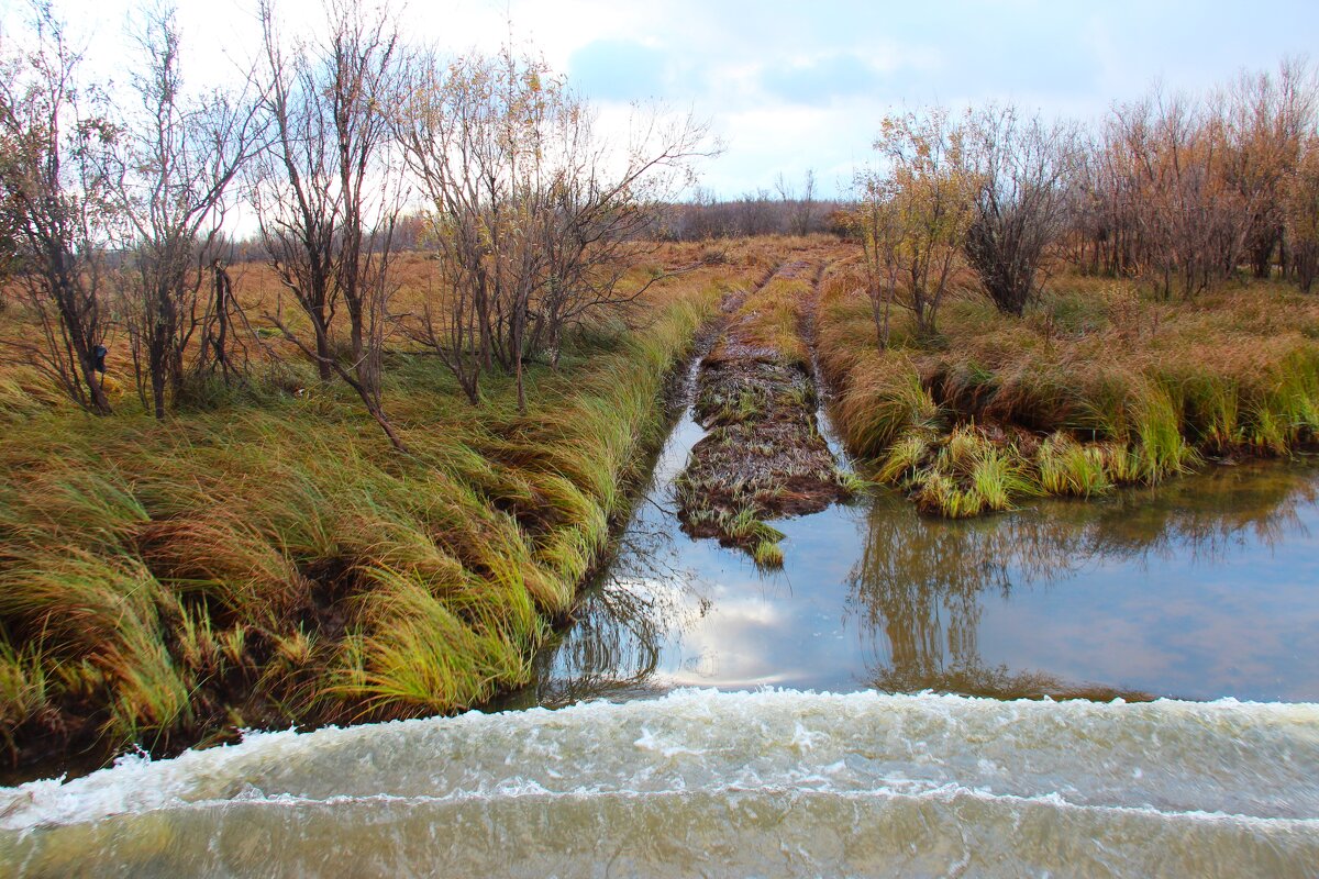 Волна - Сергей Никифоров