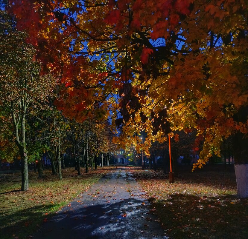 ...утро раннее осеннее - Георгий Никонов