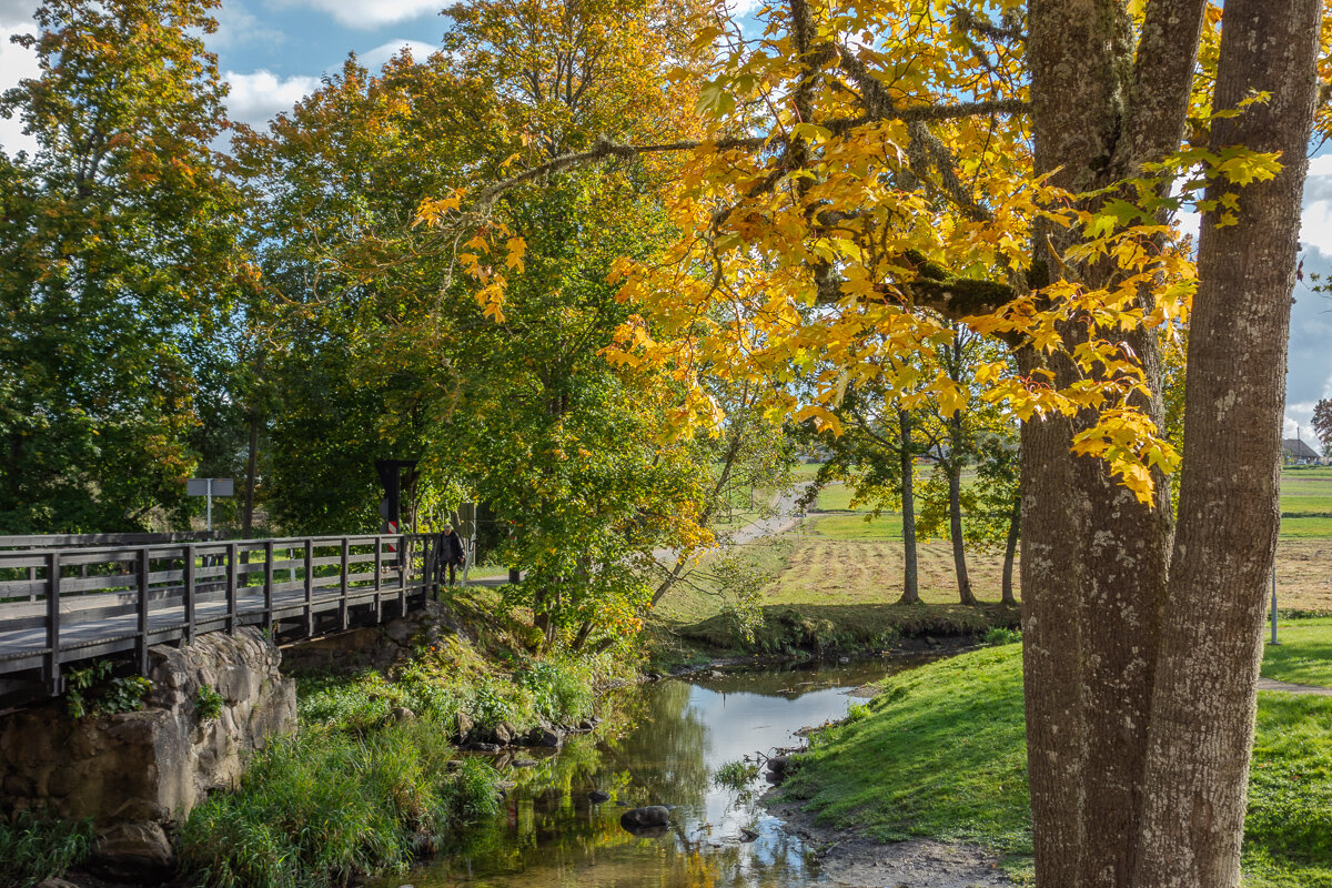 *** - Геннадий Порохов