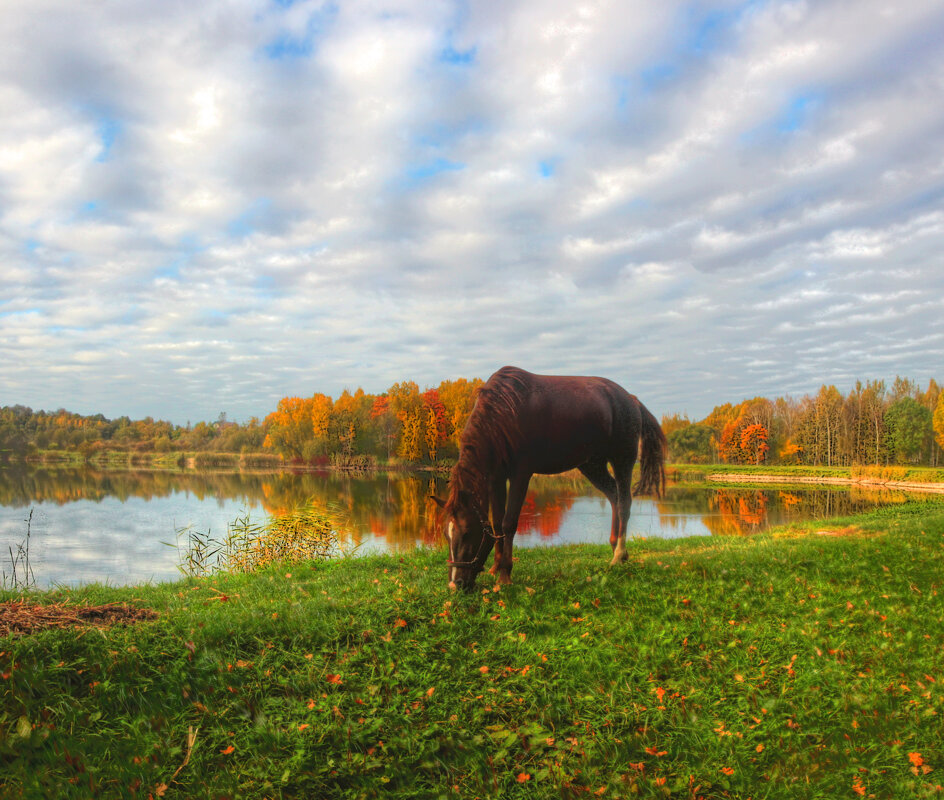 *** - Сергей Григорьев