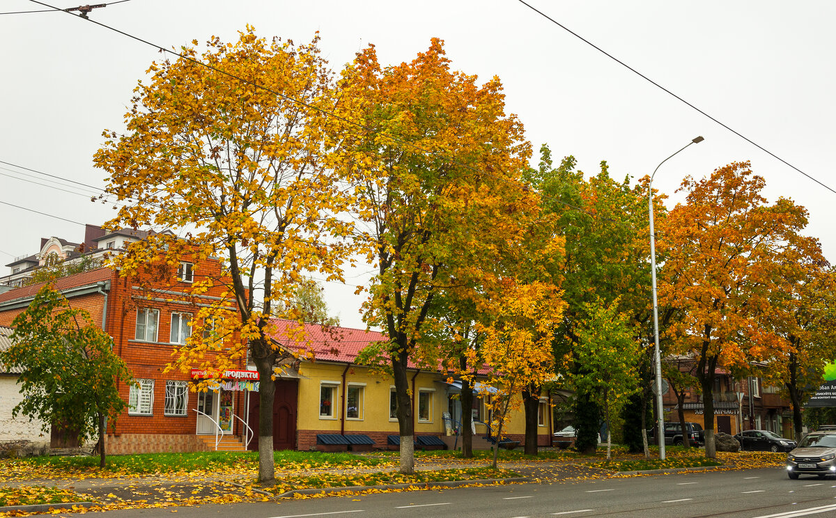 Улочки города - Батик Табуев Улочки города - Батик Табуев