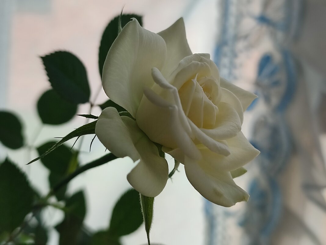 За окном октябрь - Валентина Богатко 