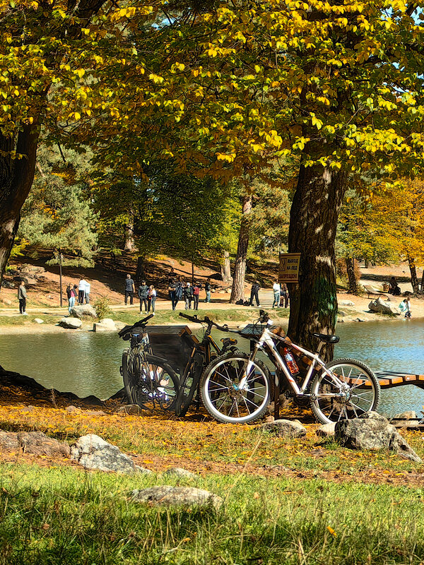 Осенние зарисовки - Игорь 