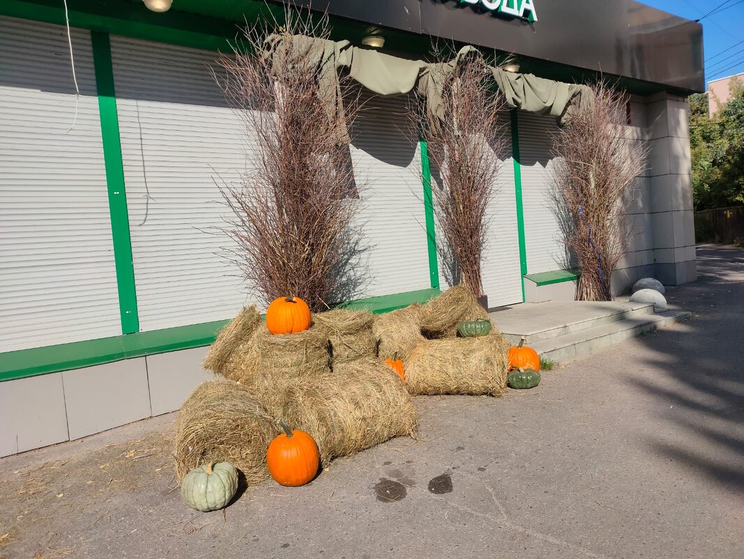 В Курске - Ирэн 