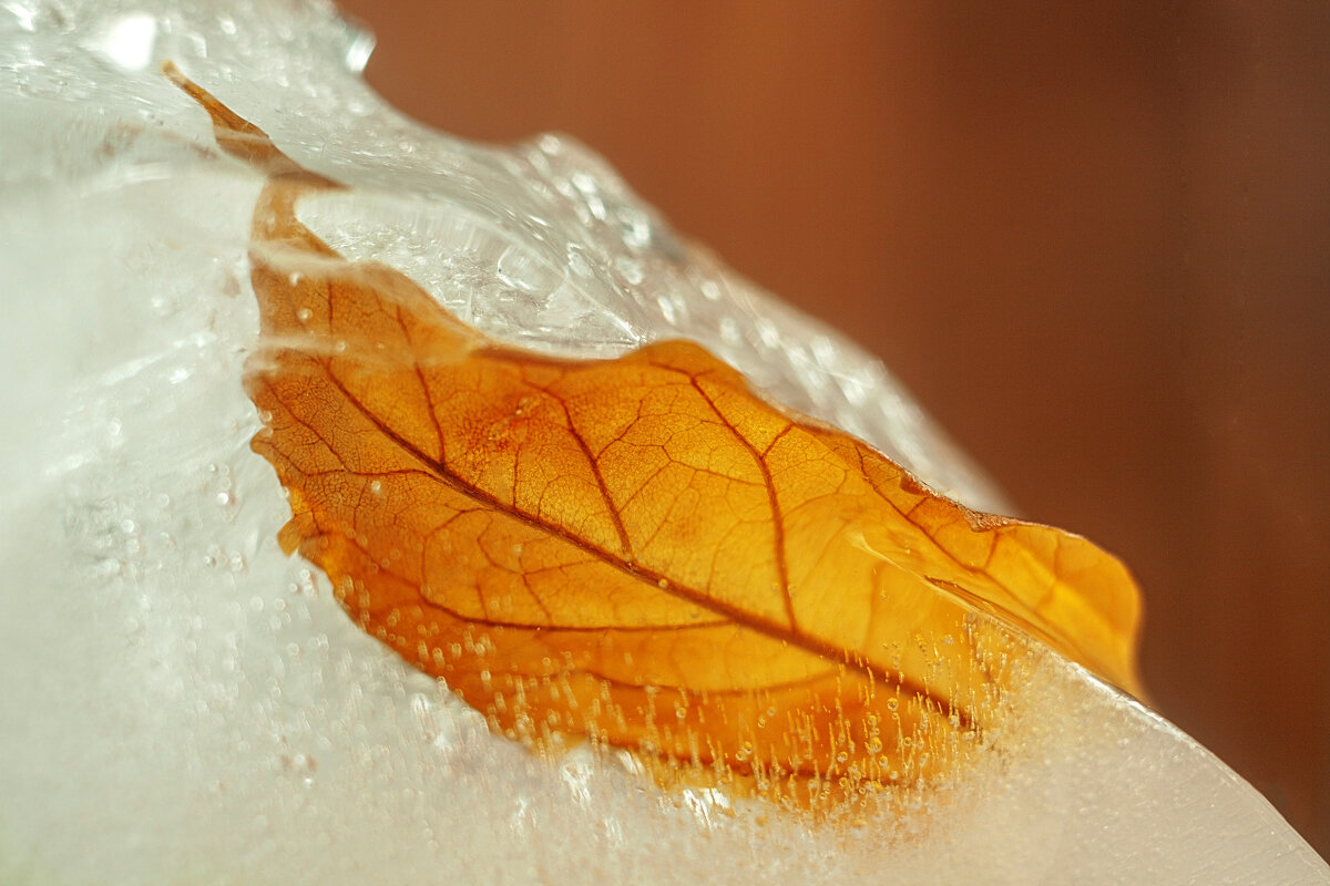 Осень со льдом - Валерий Елистратов