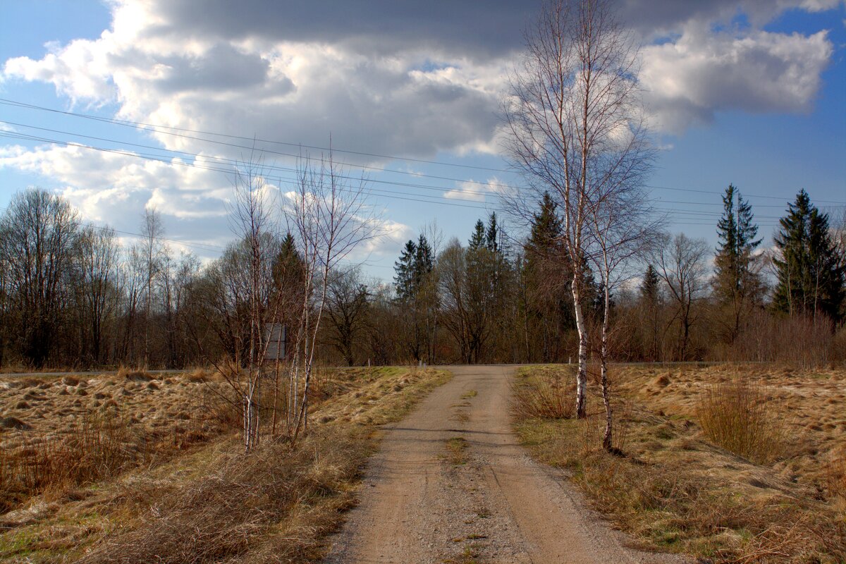 Дорога на аэродром Гривочки - Артем 