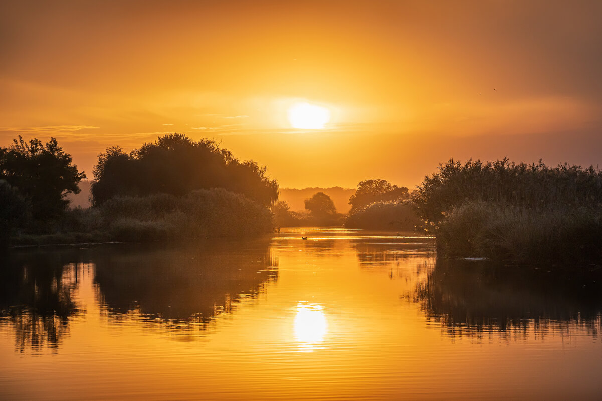 осенний закат - Ирина 