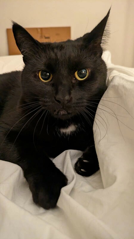 Даша. - Murat Bukaev 