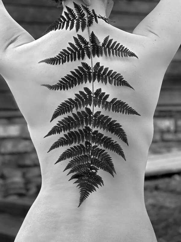 *** - Алексей Смирнов