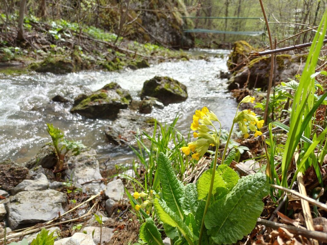 Горная река - Рустам Кашапов
