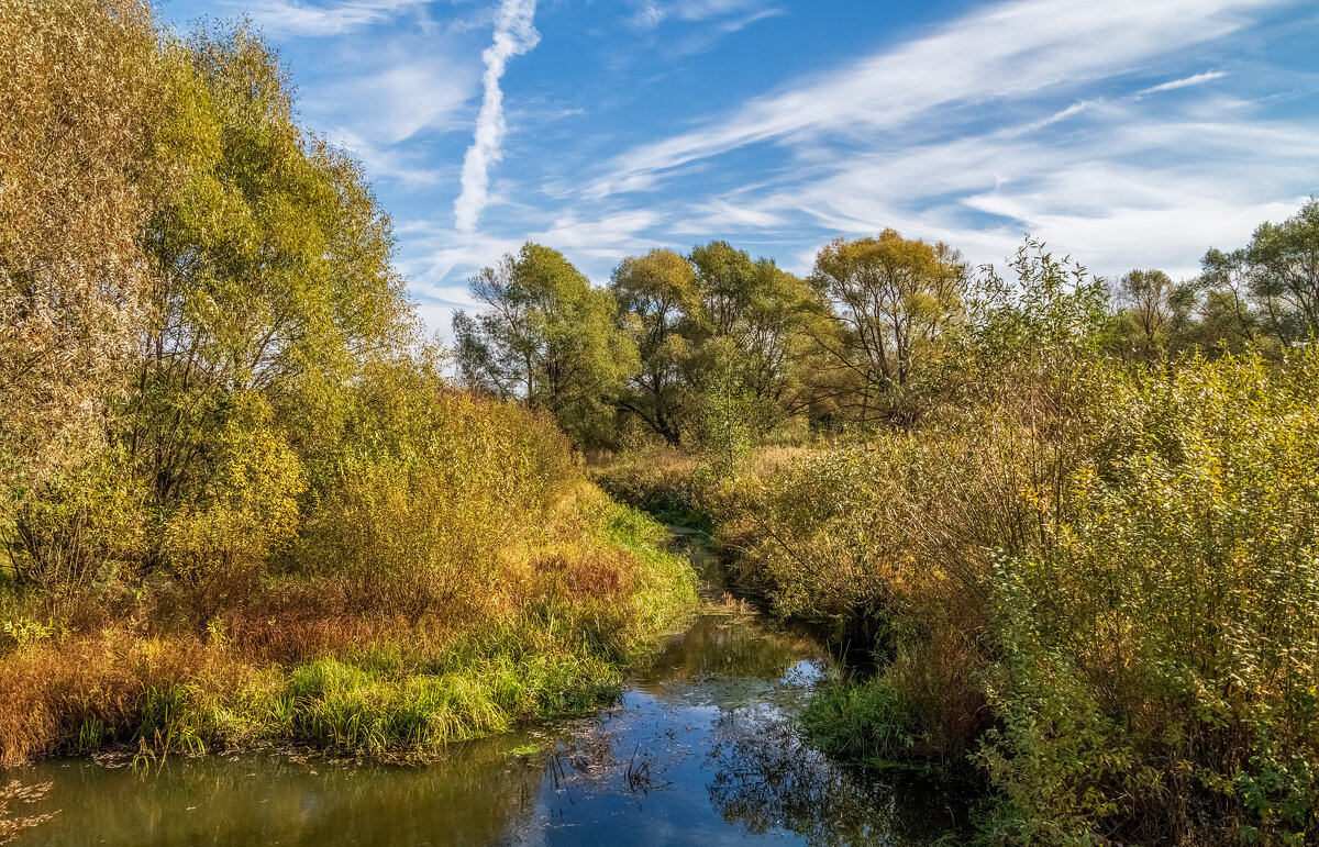 Осень достала краски 6 - Андрей Дворников