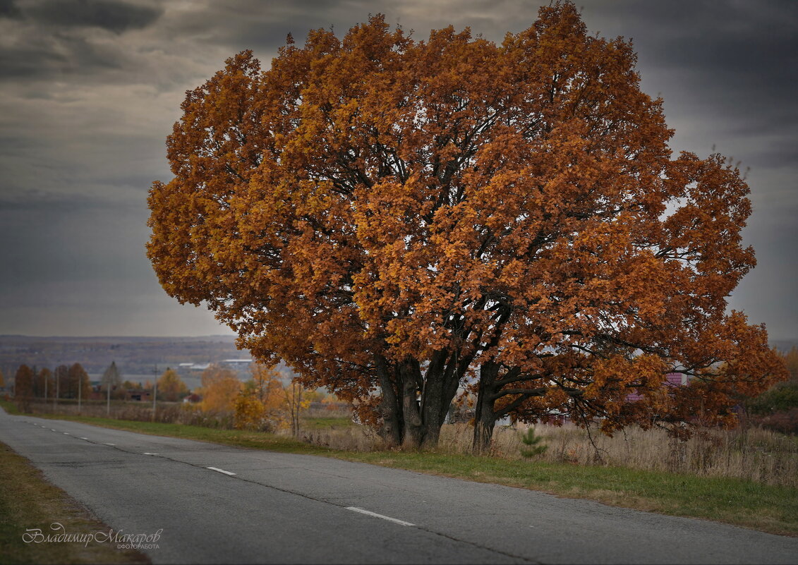 "Монументальная осень. У дороги"© - Владимир Макаров