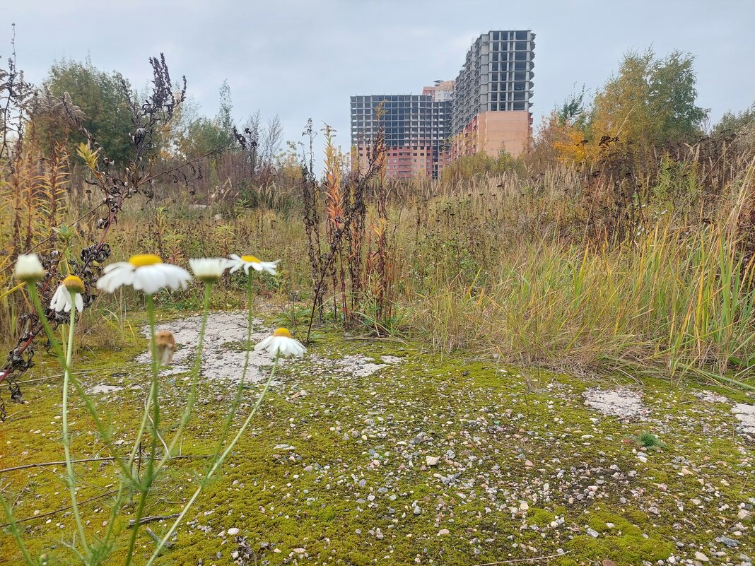 Заброшка. Война за среду обитания. - Артём 