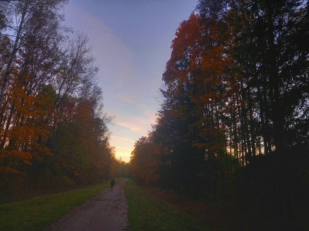 Закат - Сапсан 