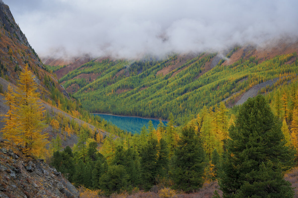 * - Александр Иванов