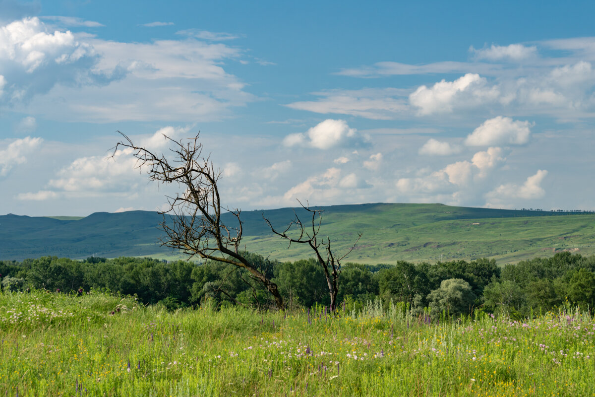 Окрестности - Игорь Сикорский