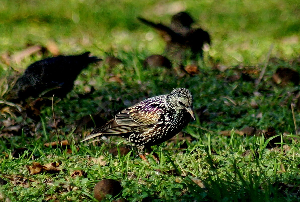 Перед вылетом нужно подкрепится... - Николай Саржанов