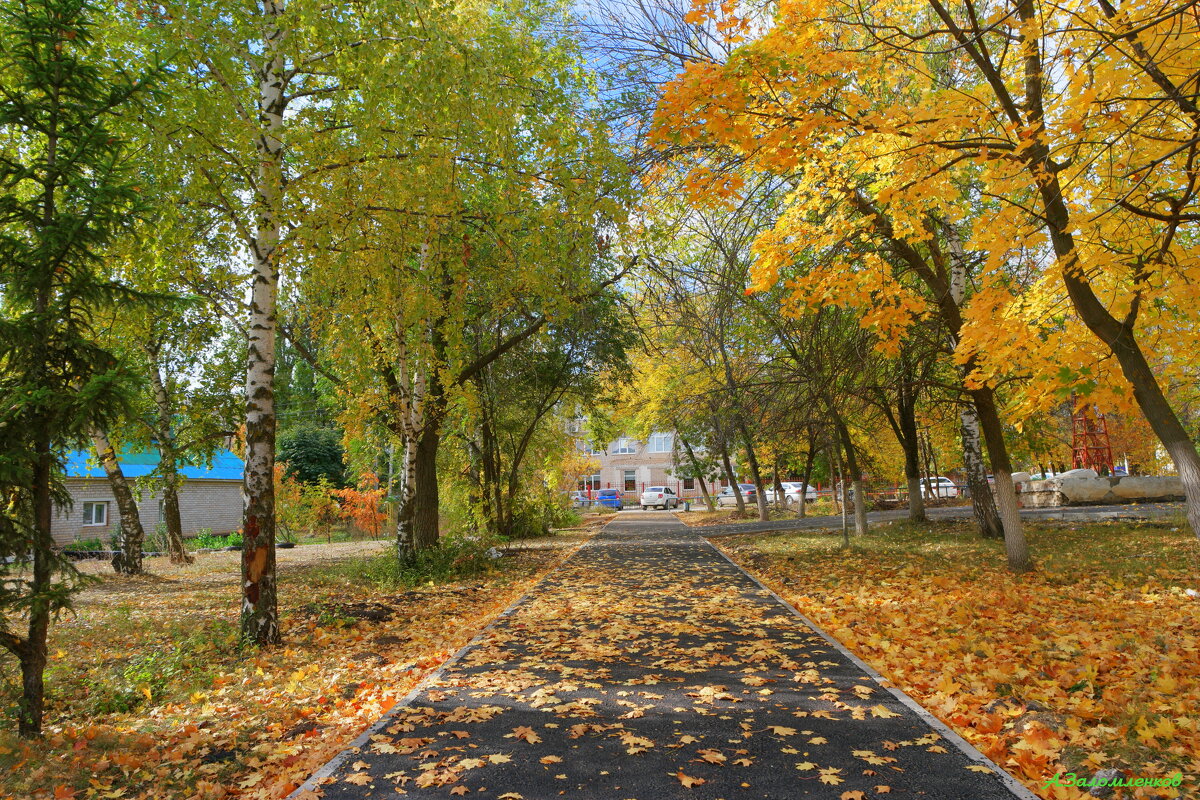 По переулкам бродит осень... - Андрей Заломленков По переулкам бродит осень... - Андрей Заломленков