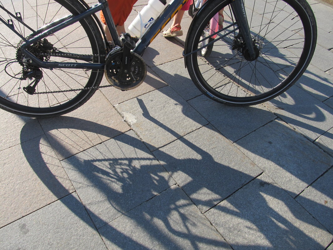 ......... - Елена Шаламова