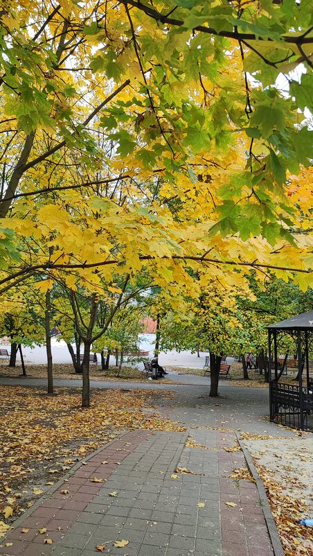 ,,, - Сергей Тимоновский