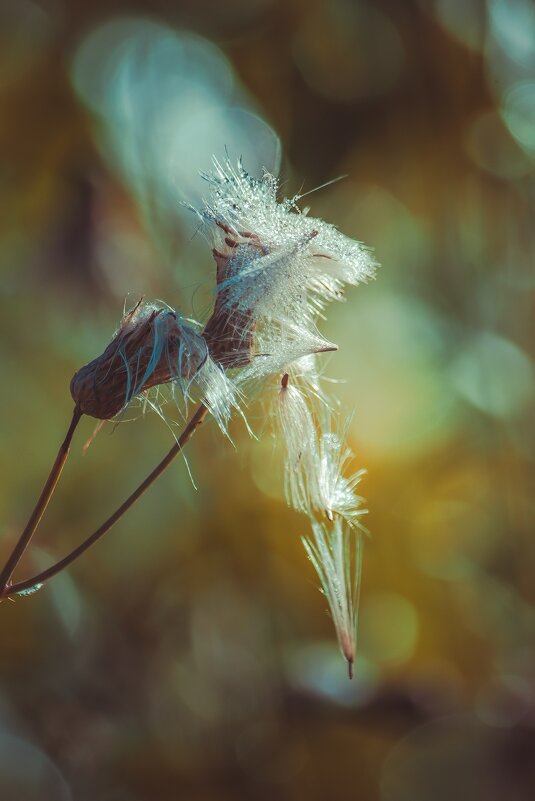 *** - Виктор Иванович Чернюк