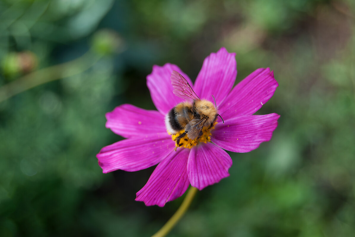 Трудяга - Владимир Иванович
