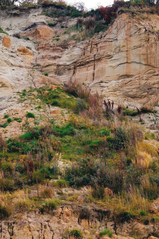 Донское - Tanya Nikorovskaya