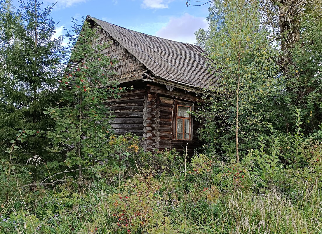 История небольшой деревеньки... - Мария Васильева