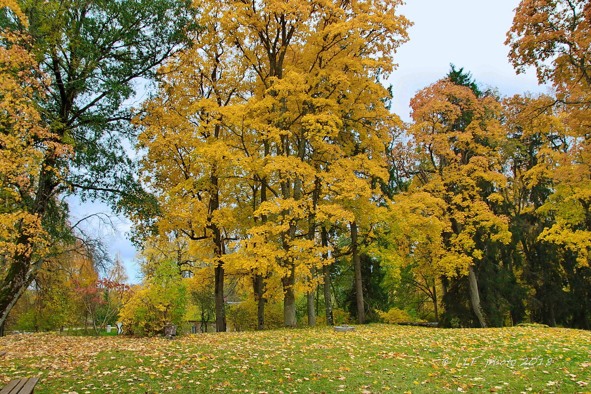 Звартавский замок - Liudmila LLF