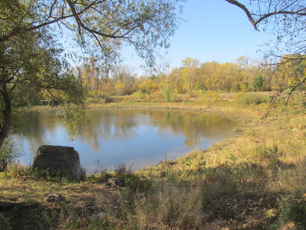 октябрь - Елена Шаламова