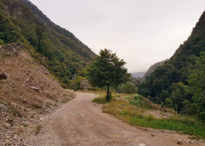 На границе с Абхазией - Tata Wolf