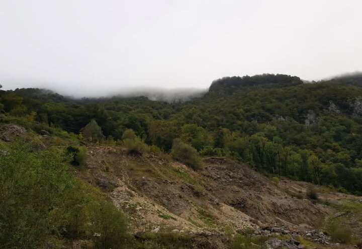 На границе с Абхазией - Tata Wolf