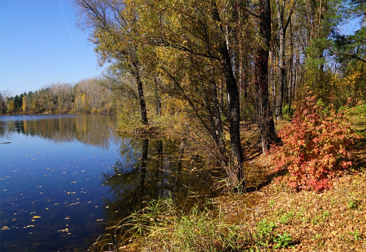 Вдоль озера по тропке - Наталия Григорьева