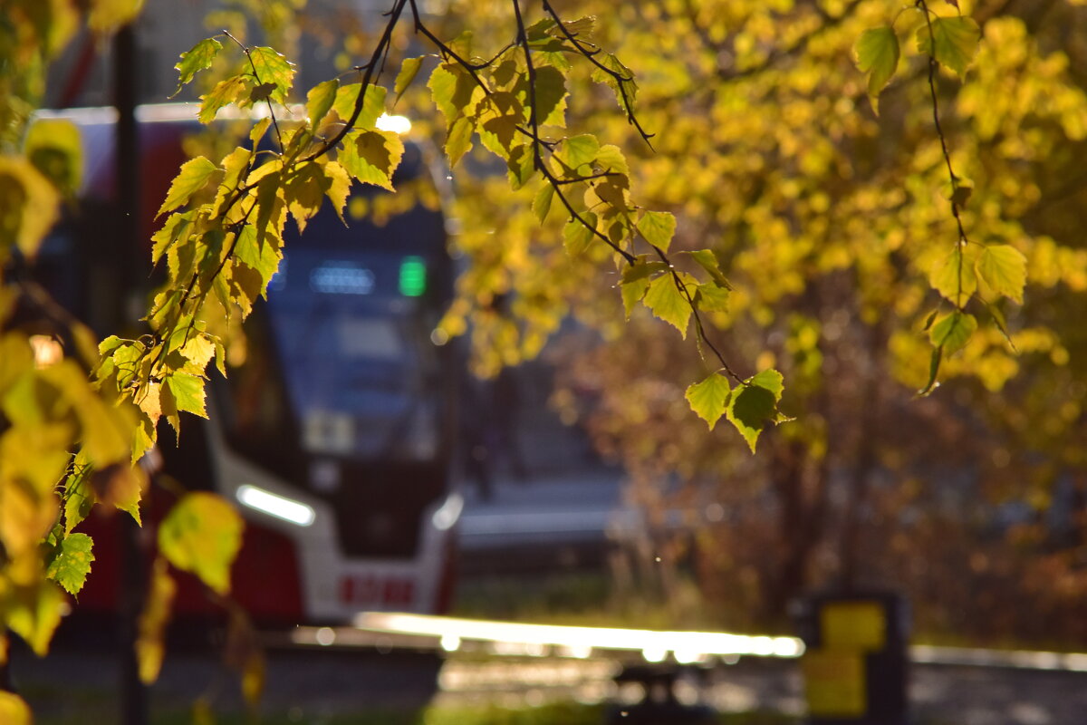 Осень в Перми - Роман Пацкевич