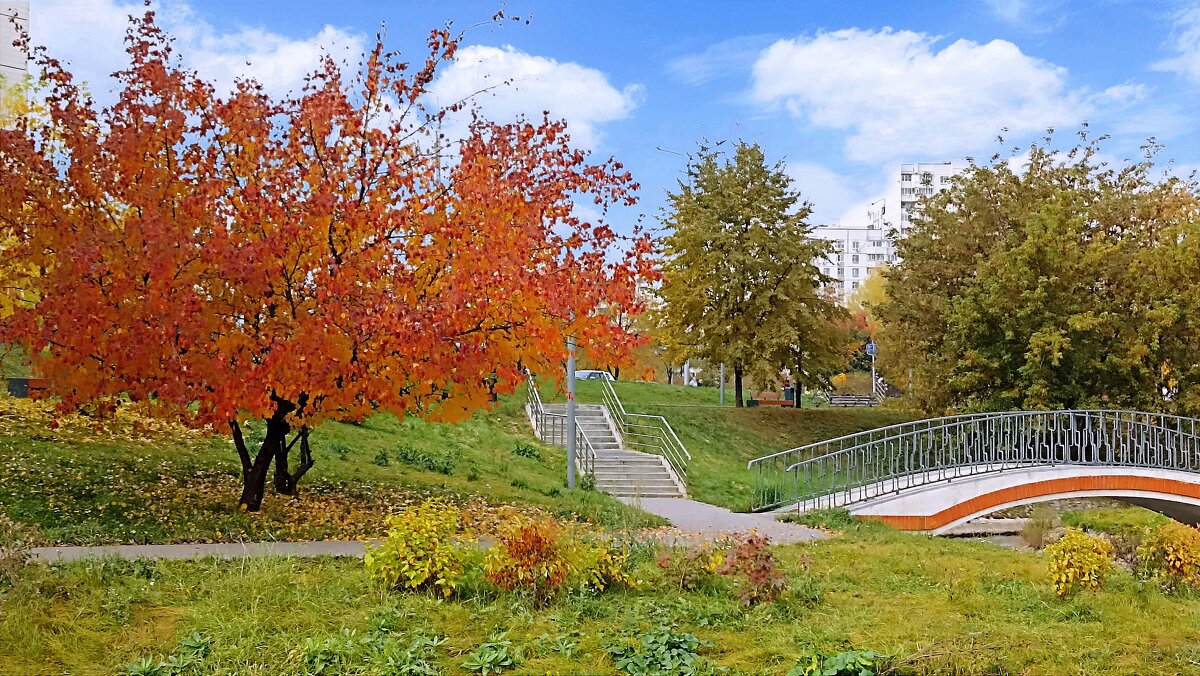 Московская осень - Татьяна Тюменка