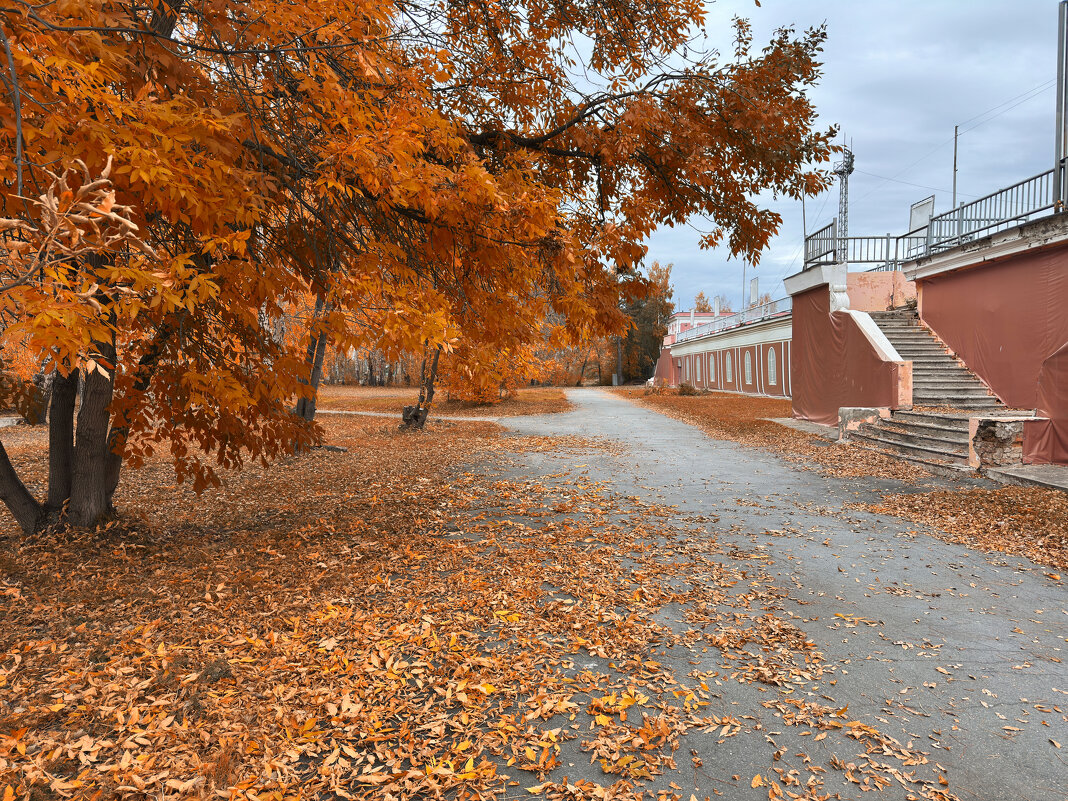 Осенний вальс листьев. - Сергей Адигамов