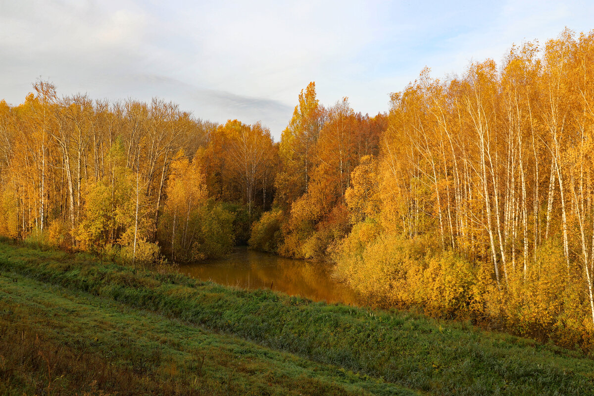 октябрь - краснов юрий октябрь - краснов юрий