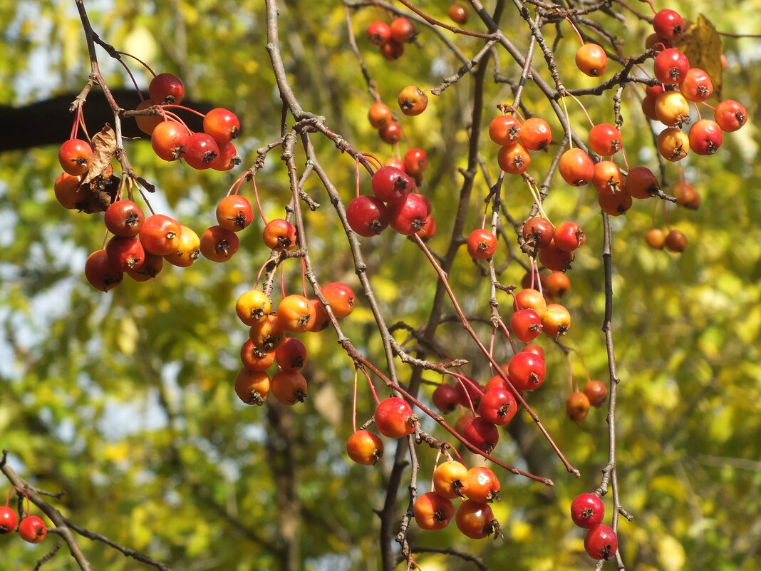 ** - Зоя Мишина