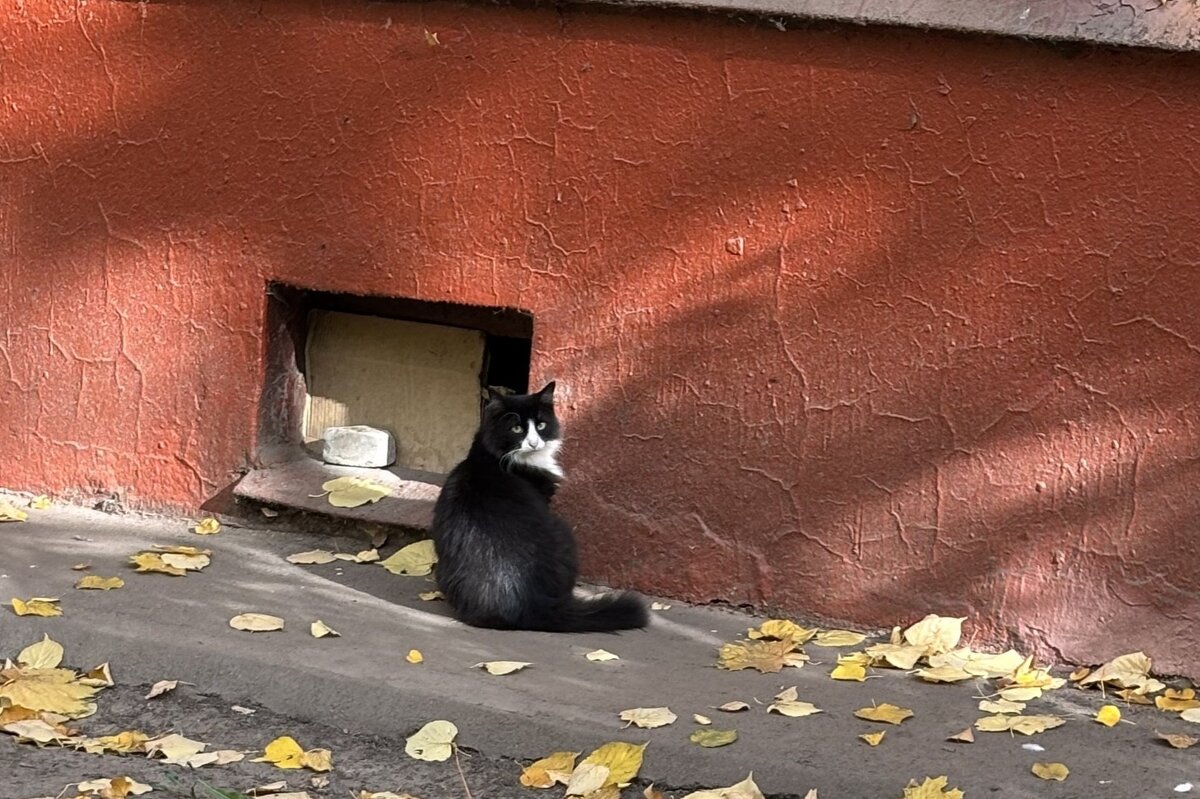 У дома своего - Мария - Maria