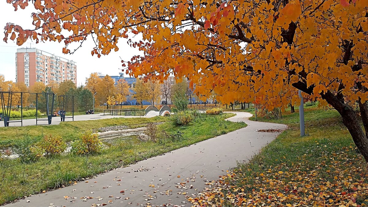 Московская осень - Татьяна Тюменка