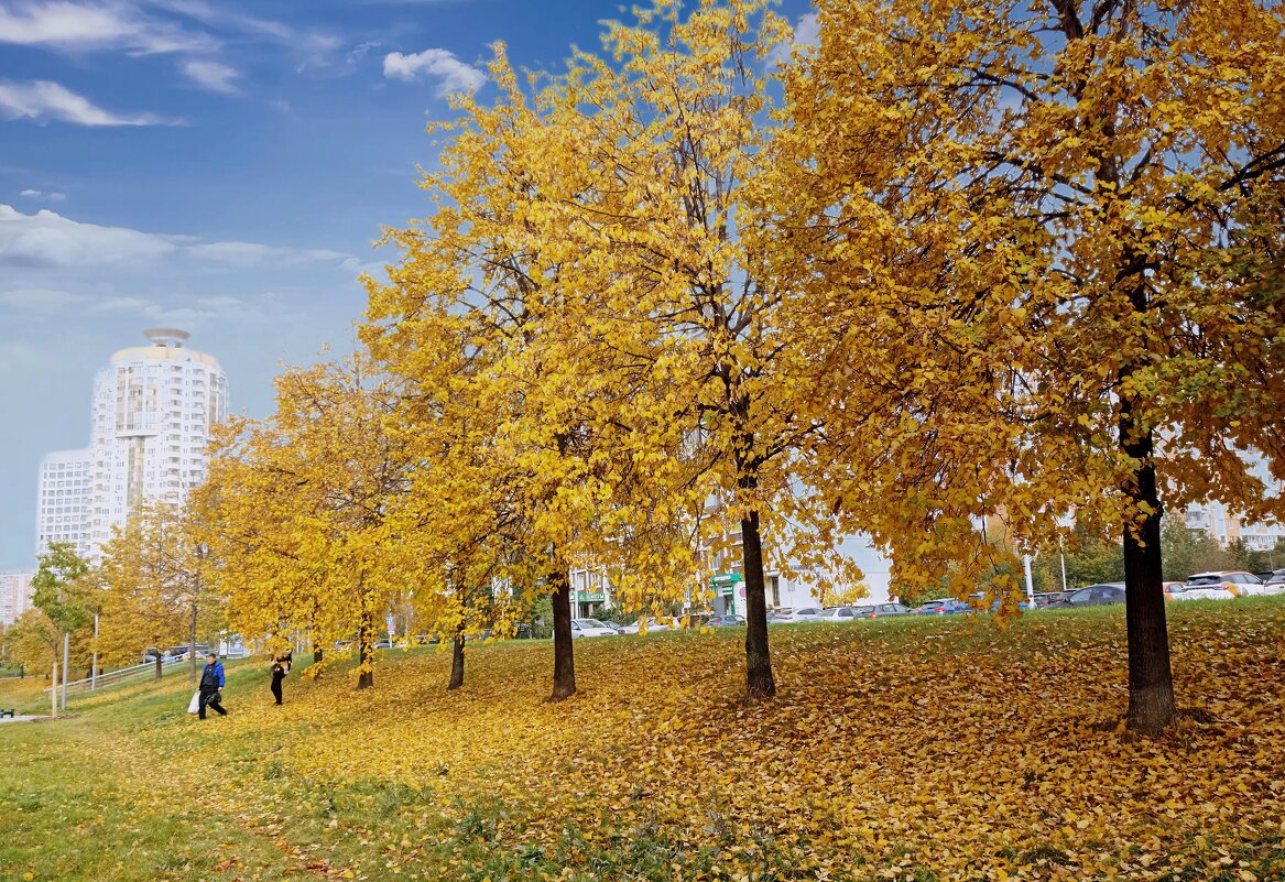 Московская осень - Татьяна Тюменка