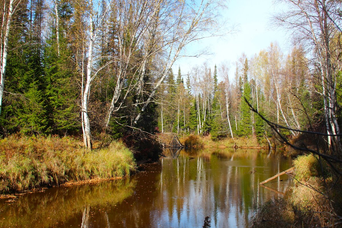 Река Пыжина - Сергей Никифоров